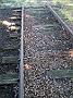 fish-coop-taree 008
